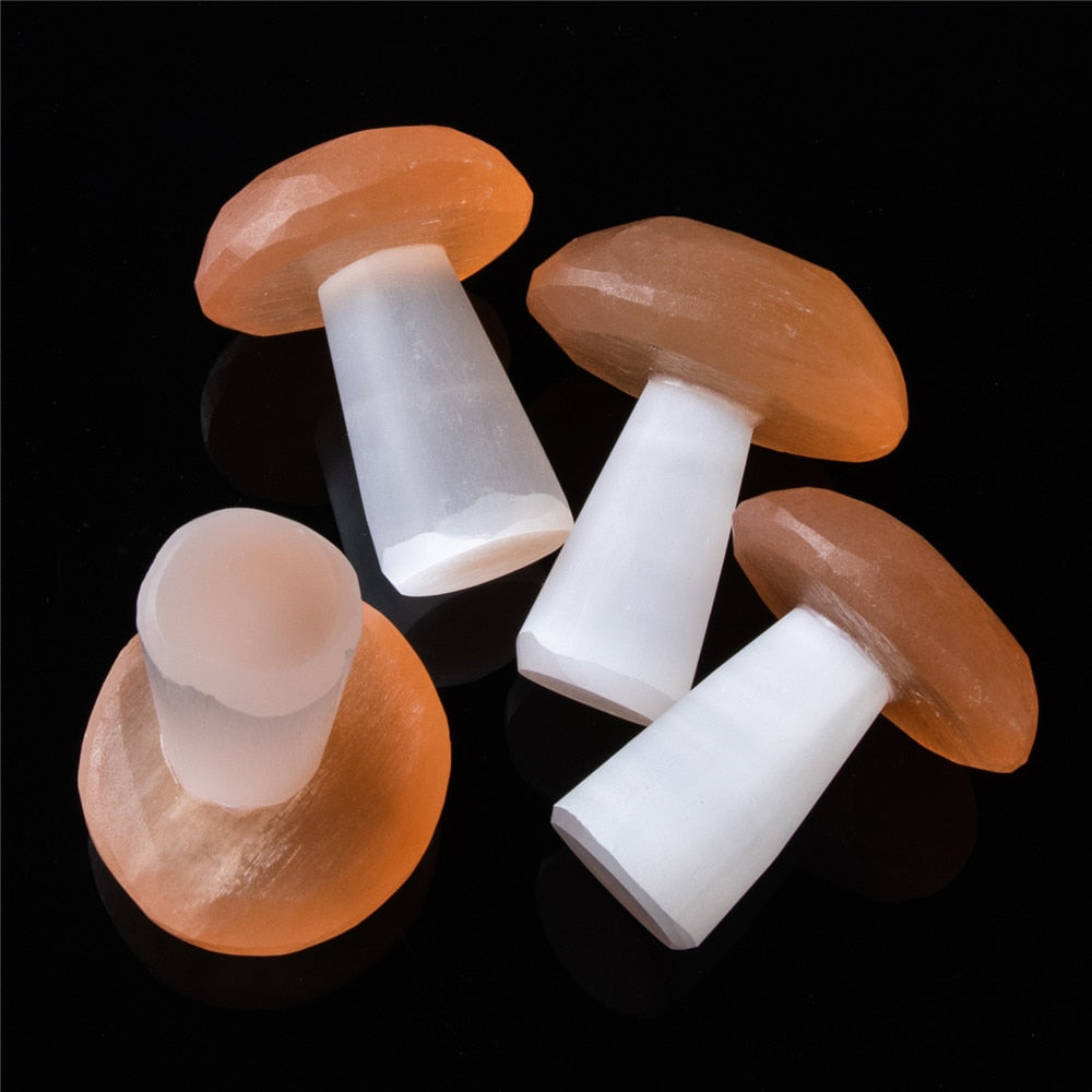 Mushroom Stone