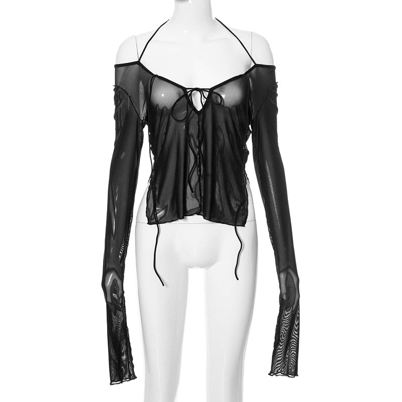 Sheer Long Sleeved Top