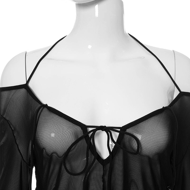 Sheer Long Sleeved Top
