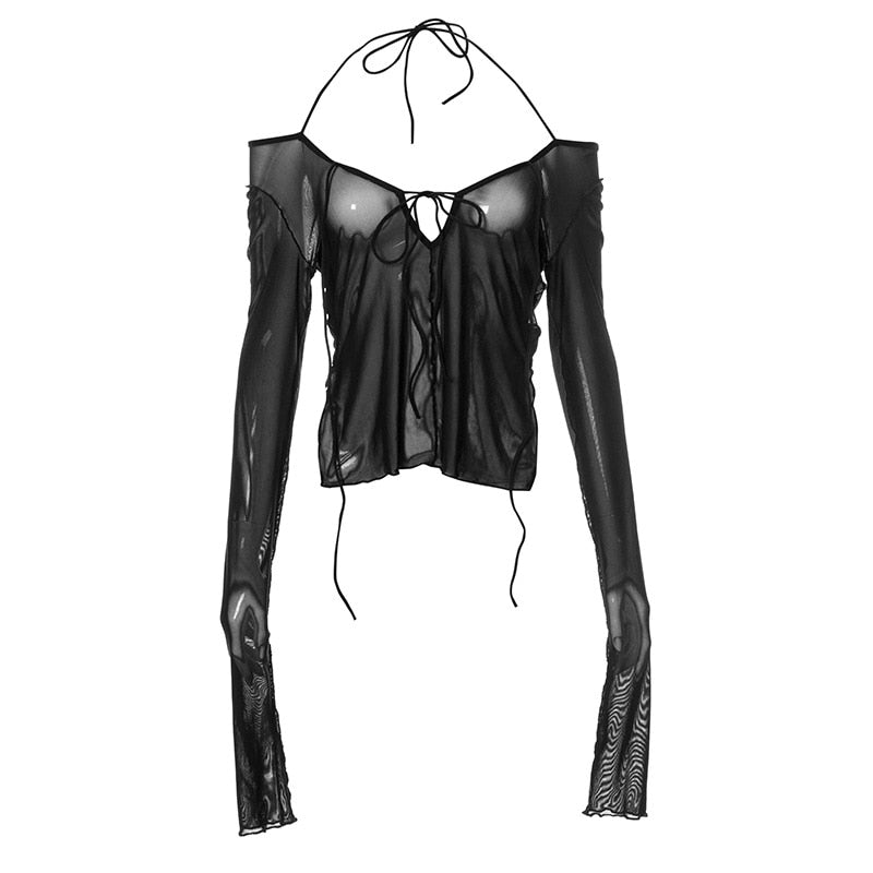 Sheer Long Sleeved Top