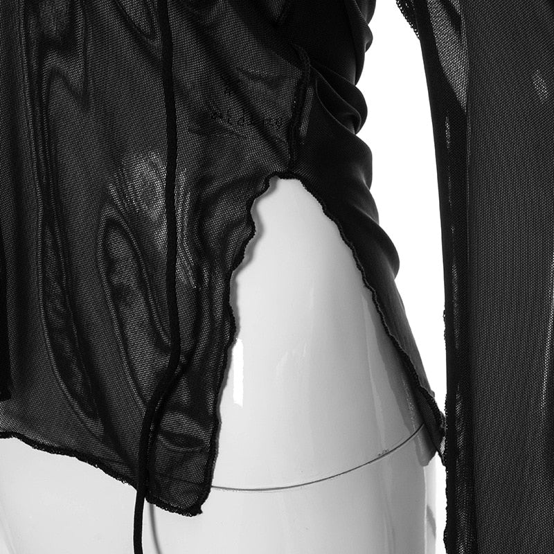 Sheer Long Sleeved Top