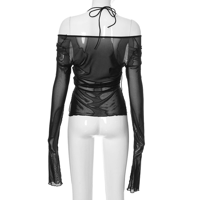 Sheer Long Sleeved Top